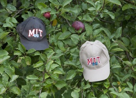 320-3133 MIT69 hats